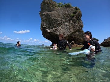 DIVING-SHOP SUNSに投稿された画像（2022/4/4）