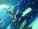 サンシャイン水族館に投稿された画像（2022/4/4）
