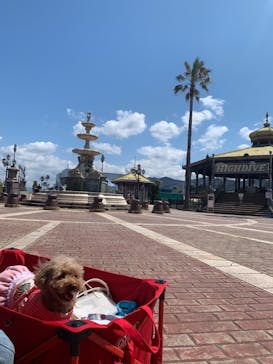 ポルトヨーロッパに投稿された画像（2022/4/4）