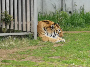 天王寺動物園に投稿された画像（2022/4/4）
