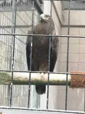 天王寺動物園に投稿された画像（2022/4/4）