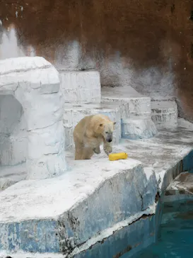 天王寺動物園に投稿された画像（2022/4/4）