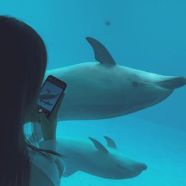 名古屋港水族館に投稿された画像（2022/4/4）