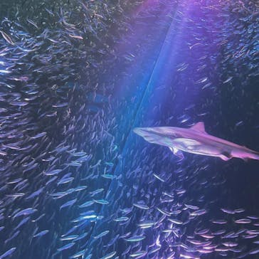 名古屋港水族館に投稿された画像（2022/4/4）