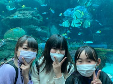 名古屋港水族館に投稿された画像（2022/4/4）