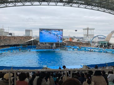 名古屋港水族館に投稿された画像（2022/4/4）