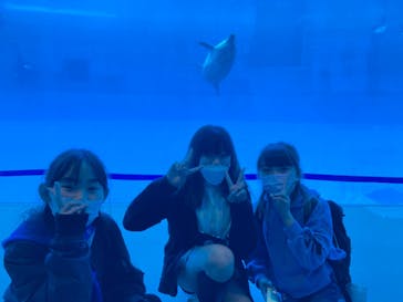 名古屋港水族館に投稿された画像（2022/4/4）