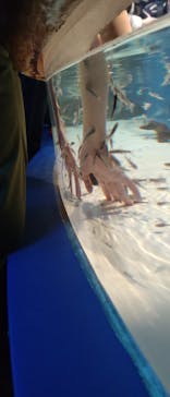 しながわ水族館に投稿された画像（2022/4/4）