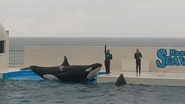 鴨川シーワールドに投稿された画像（2022/4/4）