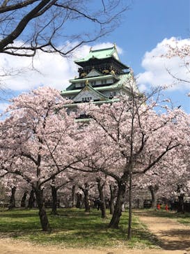 大阪城公園 西の丸庭園に投稿された画像（2022/4/4）