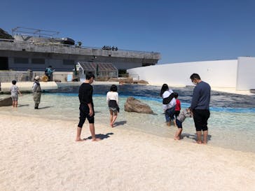 大分マリーンパレス水族館 「うみたまご」に投稿された画像（2022/4/4）