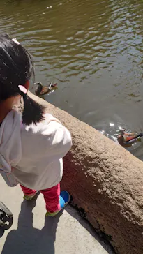 神戸どうぶつ王国に投稿された画像（2022/4/4）