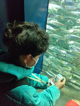 サンシャイン水族館に投稿された画像（2022/4/4）
