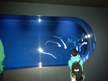 サンシャイン水族館に投稿された画像（2022/4/4）