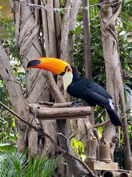 那須どうぶつ王国に投稿された画像（2022/4/4）