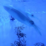 サンシャイン水族館に投稿された画像（2022/4/4）