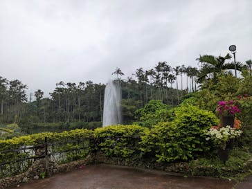 美らヤシパークオキナワ・東南植物楽園に投稿された画像（2022/4/4）