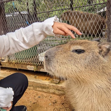 美らヤシパークオキナワ・東南植物楽園に投稿された画像（2022/4/4）