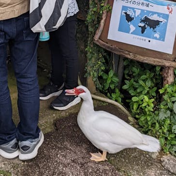 美らヤシパークオキナワ・東南植物楽園に投稿された画像（2022/4/4）