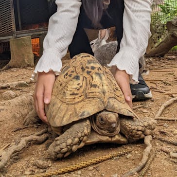 美らヤシパークオキナワ・東南植物楽園に投稿された画像（2022/4/4）