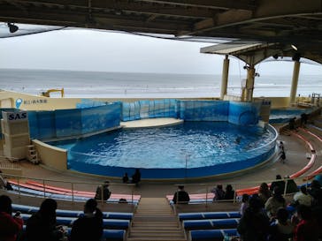 新江ノ島水族館に投稿された画像（2022/4/4）