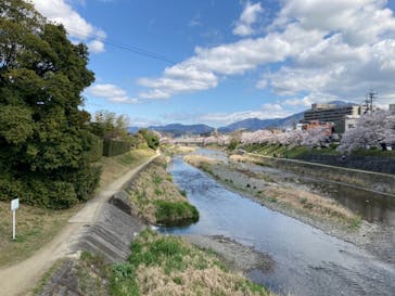 京阪電車に投稿された画像（2022/4/4）