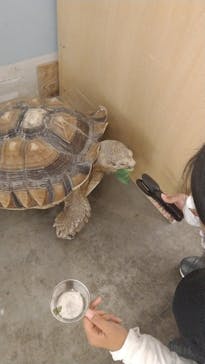 Moff アニマル カフェ イーアス 高尾店に投稿された画像（2022/4/4）