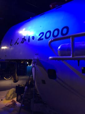 新江ノ島水族館に投稿された画像（2022/4/4）