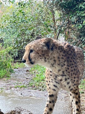 よこはま動物園ズーラシアに投稿された画像（2022/4/4）