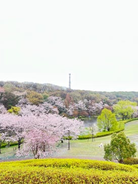 よこはま動物園ズーラシアに投稿された画像（2022/4/4）