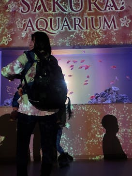 マクセル アクアパーク品川に投稿された画像（2022/4/4）