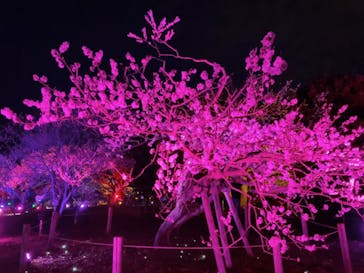 せんだい農業園芸センター　みどりの杜に投稿された画像（2022/4/4）