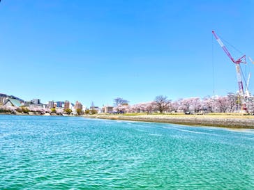 ひろしまリバークルーズに投稿された画像（2022/4/4）