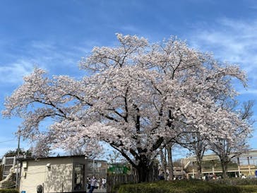 東武動物公園に投稿された画像（2022/4/4）