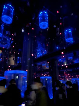 マクセル アクアパーク品川に投稿された画像（2022/4/4）