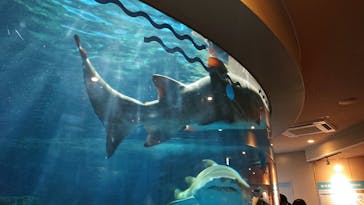 しながわ水族館に投稿された画像（2022/4/4）