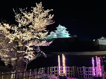 姫路城（イベント）に投稿された画像（2022/4/4）