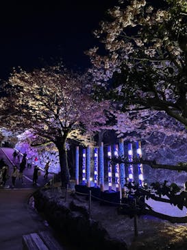 姫路城（イベント）に投稿された画像（2022/4/4）