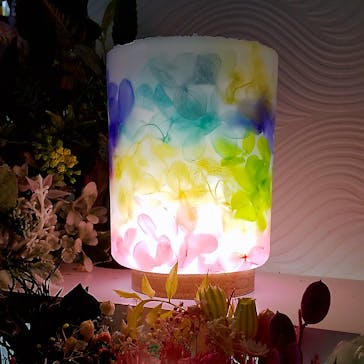 ずこうしつ〜sugamo〜に投稿された画像（2022/4/4）