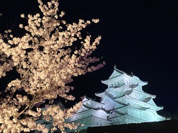 姫路城（イベント）に投稿された画像（2022/4/4）