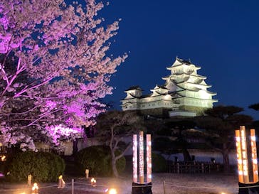 姫路城（イベント）に投稿された画像（2022/4/4）