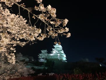 姫路城（イベント）に投稿された画像（2022/4/4）