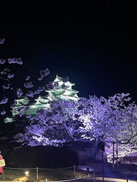 姫路城（イベント）に投稿された画像（2022/4/4）
