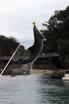 下田海中水族館に投稿された画像（2022/4/4）