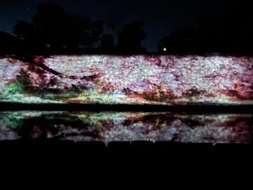 NAKED FLOWERS 2022 -桜- 世界遺産・二条城に投稿された画像（2022/4/4）