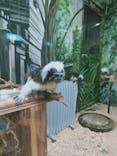 伊豆シャボテン動物公園に投稿された画像（2022/4/4）