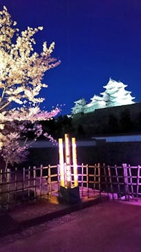 姫路城（イベント）に投稿された画像（2022/4/4）