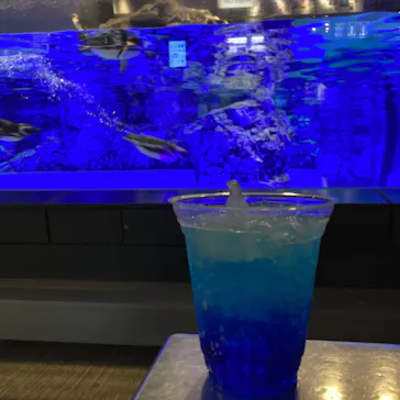 すみだ水族館に投稿された画像（2022/4/4）