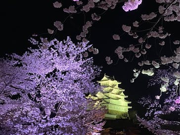 姫路城（イベント）に投稿された画像（2022/4/4）