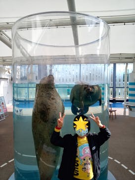 京都水族館×ニデック京都タワーに投稿された画像（2022/4/4）